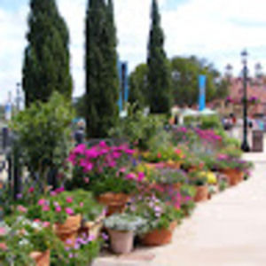 Meet your Posher, Tina